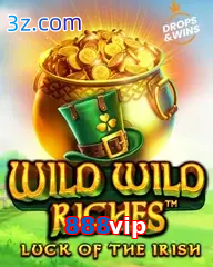 888vip slot wild wild riches